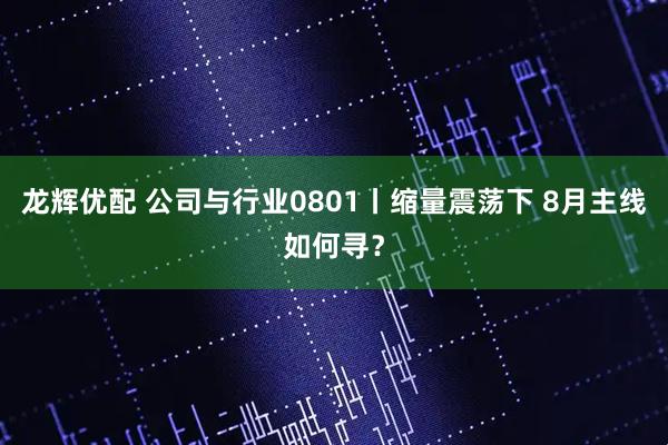 龙辉优配 公司与行业0801丨缩量震荡下 8月主线如何寻？