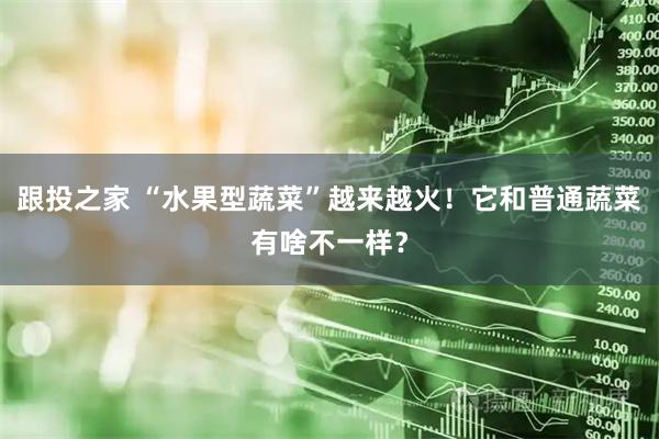 跟投之家 “水果型蔬菜”越来越火！它和普通蔬菜有啥不一样？